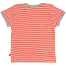 T-Shirt Ringel Ameisenb&auml;r sunrise